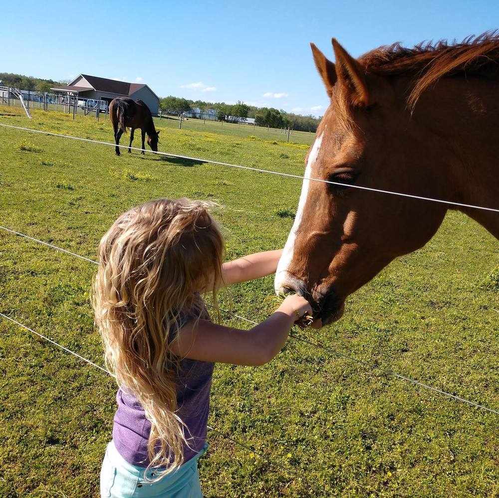 Meet your Posher, Priscilla